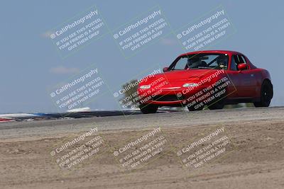 media/Oct-04-2025-OnGrid (Sat) [[44bd565ffa]]/Green Group/Grapevine/